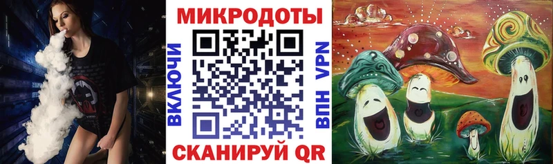 Псилоцибиновые грибы Psilocybe  Яхрома 